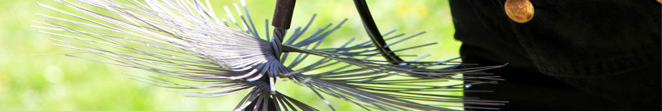 Banner - Andre Schult